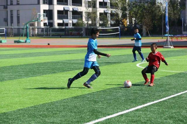 中国女篮将奔赴欧洲拉练 已经确定五场热身赛